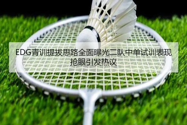 EDG青训提拔思路全面曝光二队中单试训表现抢眼引发热议